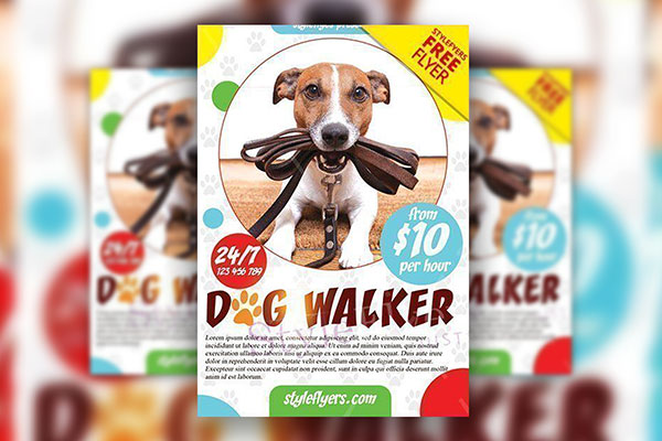 Dog Walker Poster