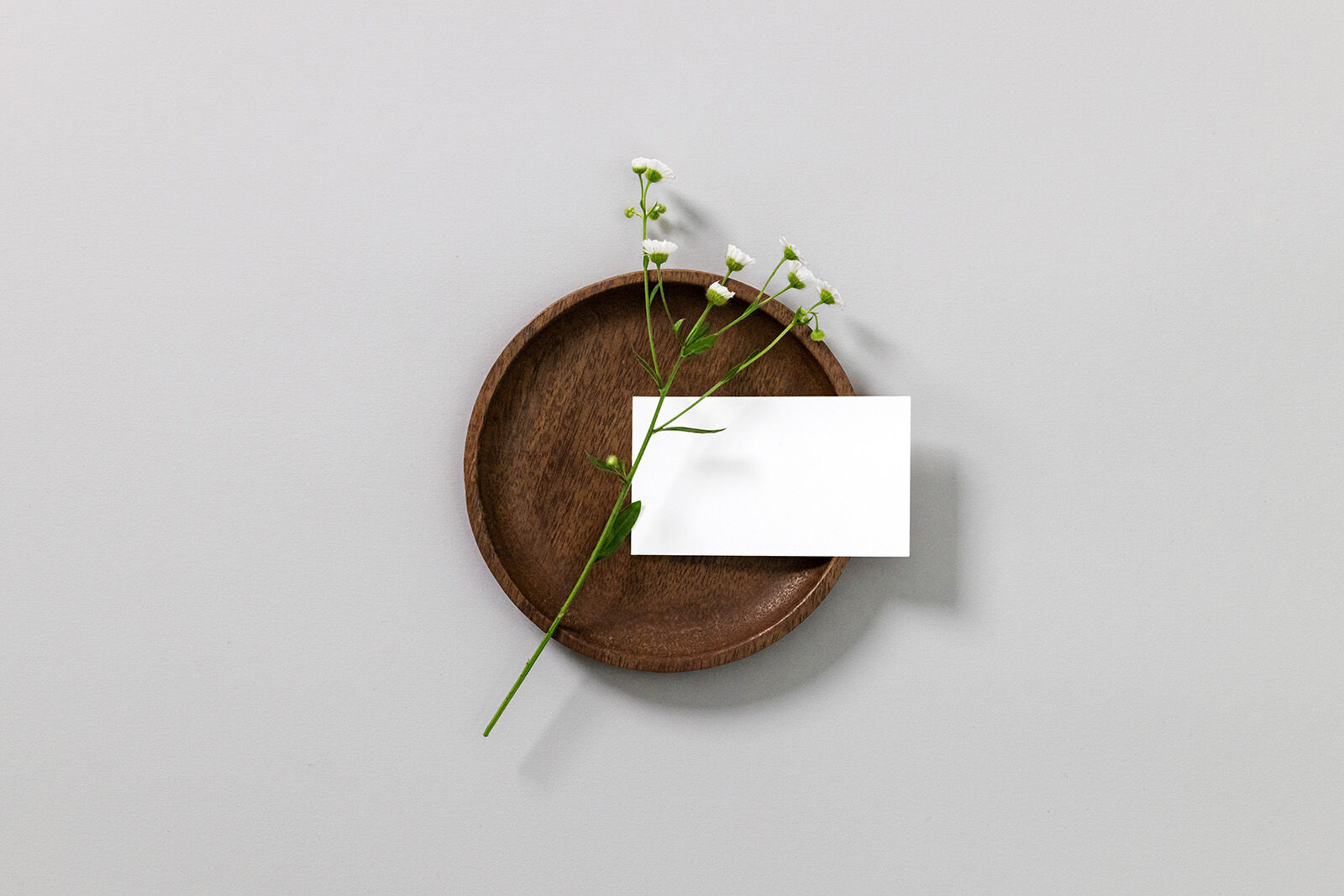 Top View of a Business Card with a Flower Mockup FREE PSD