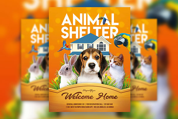 Modern Orange Animal Shelter Flyer Template FREE PSD