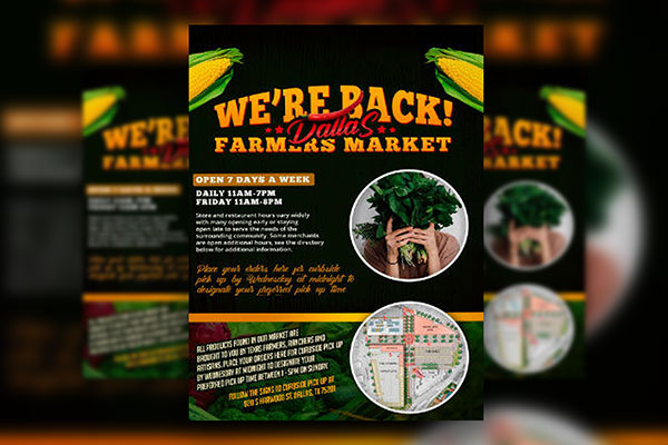 Clean Modern Infographic Farmers Market Flyer Template FREE PSD
