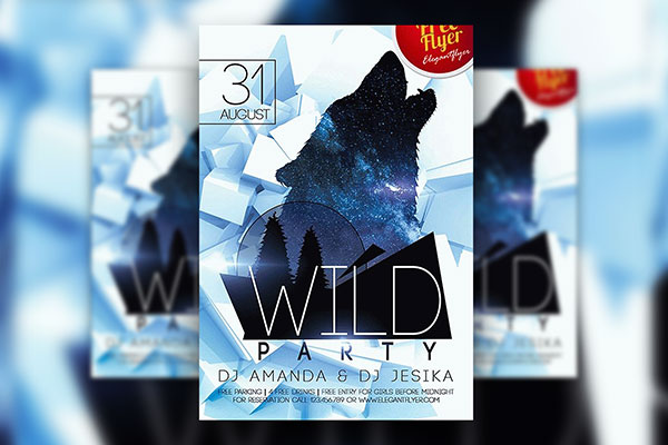 Blue and White Sparkly Wild Party Flyer Template and Facebook Cover FREE PSD