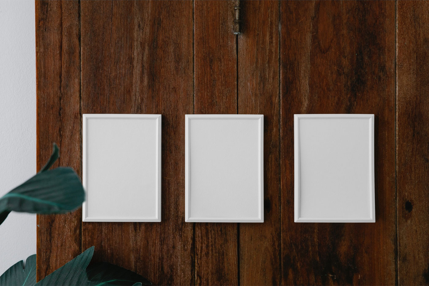 Front View of 3 Minimal Posters Mockup on Wood Wall FREE PSD