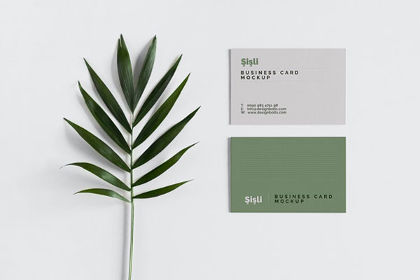 Front View of 2 Minimalistic Business Cards Mockup FREE PSD