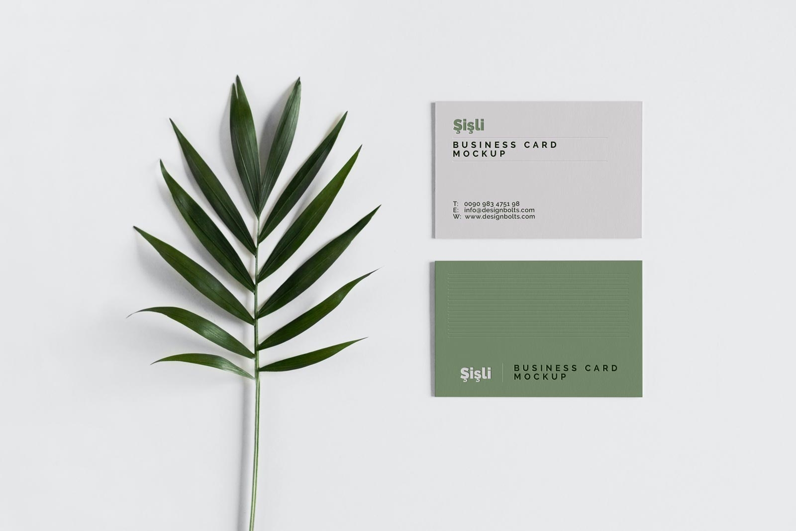 Front View of 2 Minimalistic Business Cards Mockup Free Download