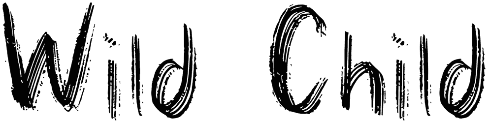 Wild Child Font Free Download Resource Boy