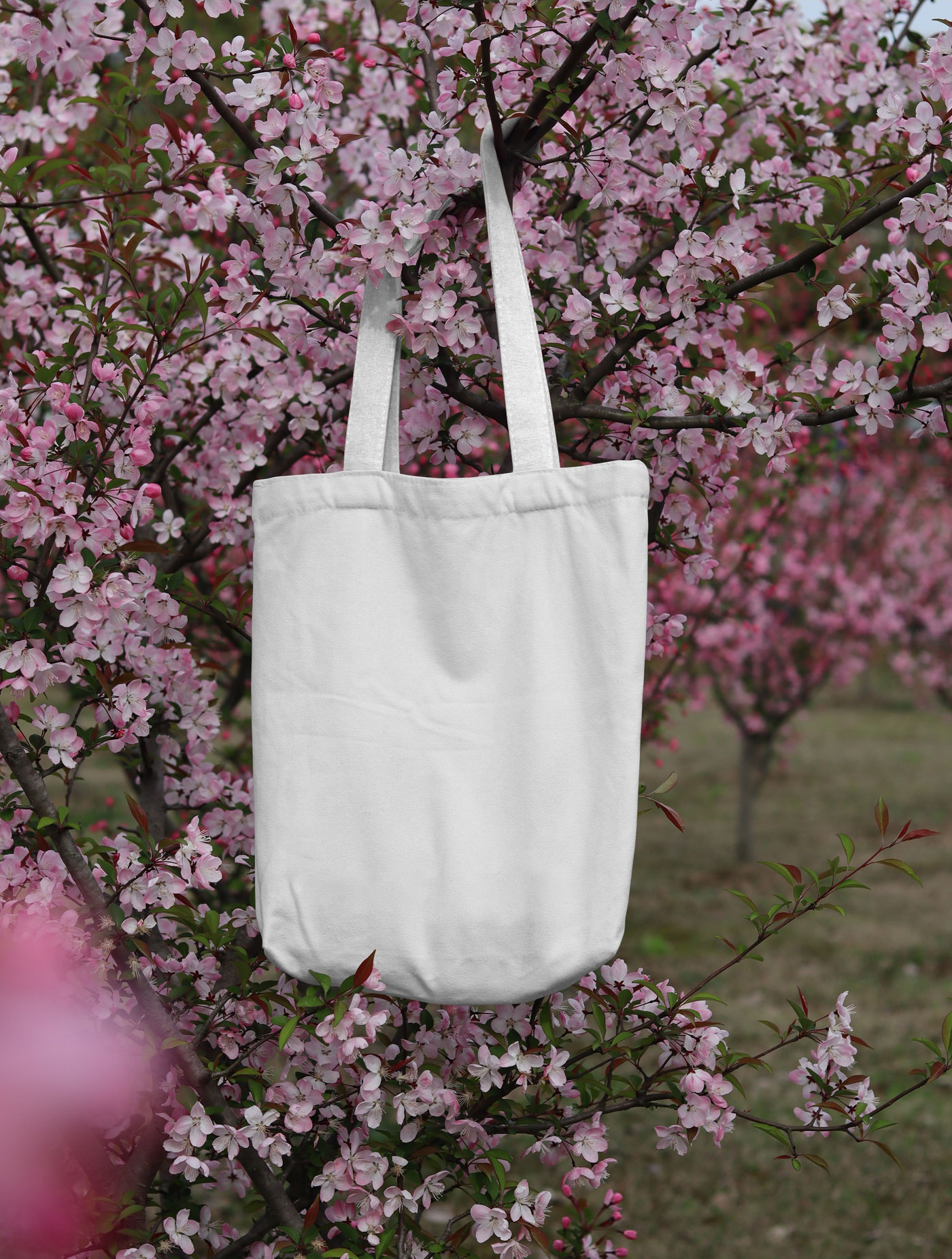 Front View of a Canvas Bag Mockup in Nature FREE PSD
