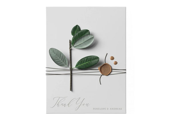 Top View of Ficus on a Waxed Envelope Mockup FREE PSD