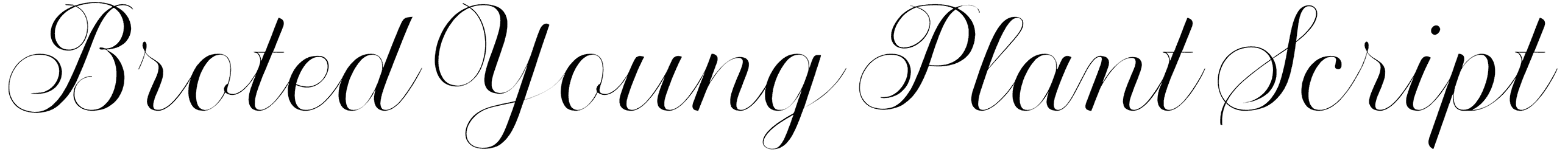 Broted Young Plant Script Font