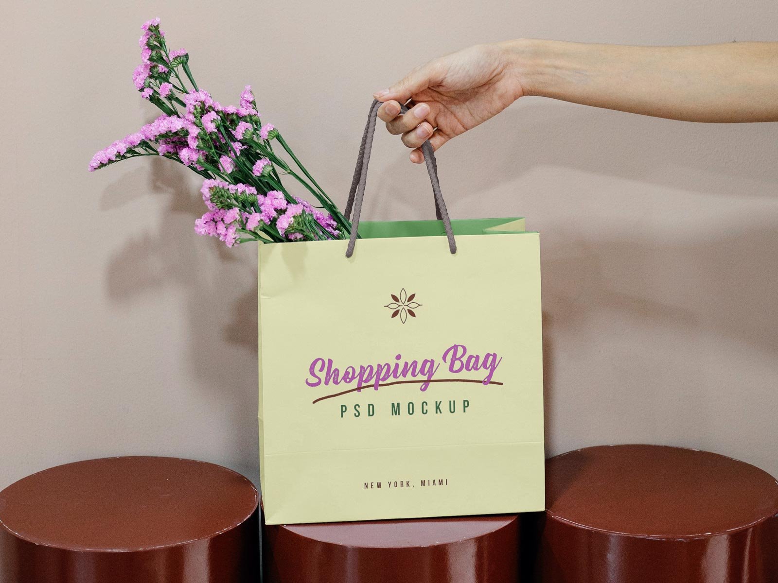 Front View of Hand Holding Paper Shopping Bag Mockup FREE PSD