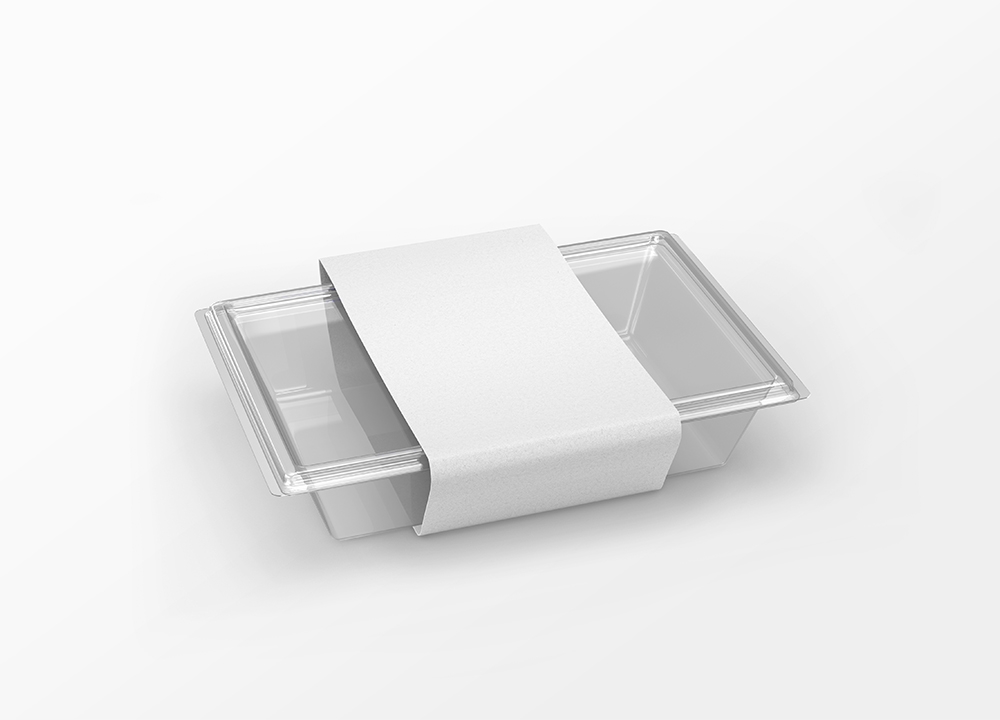 Perspective View of Plastic Food Packaging Box Mockup FREE PSD