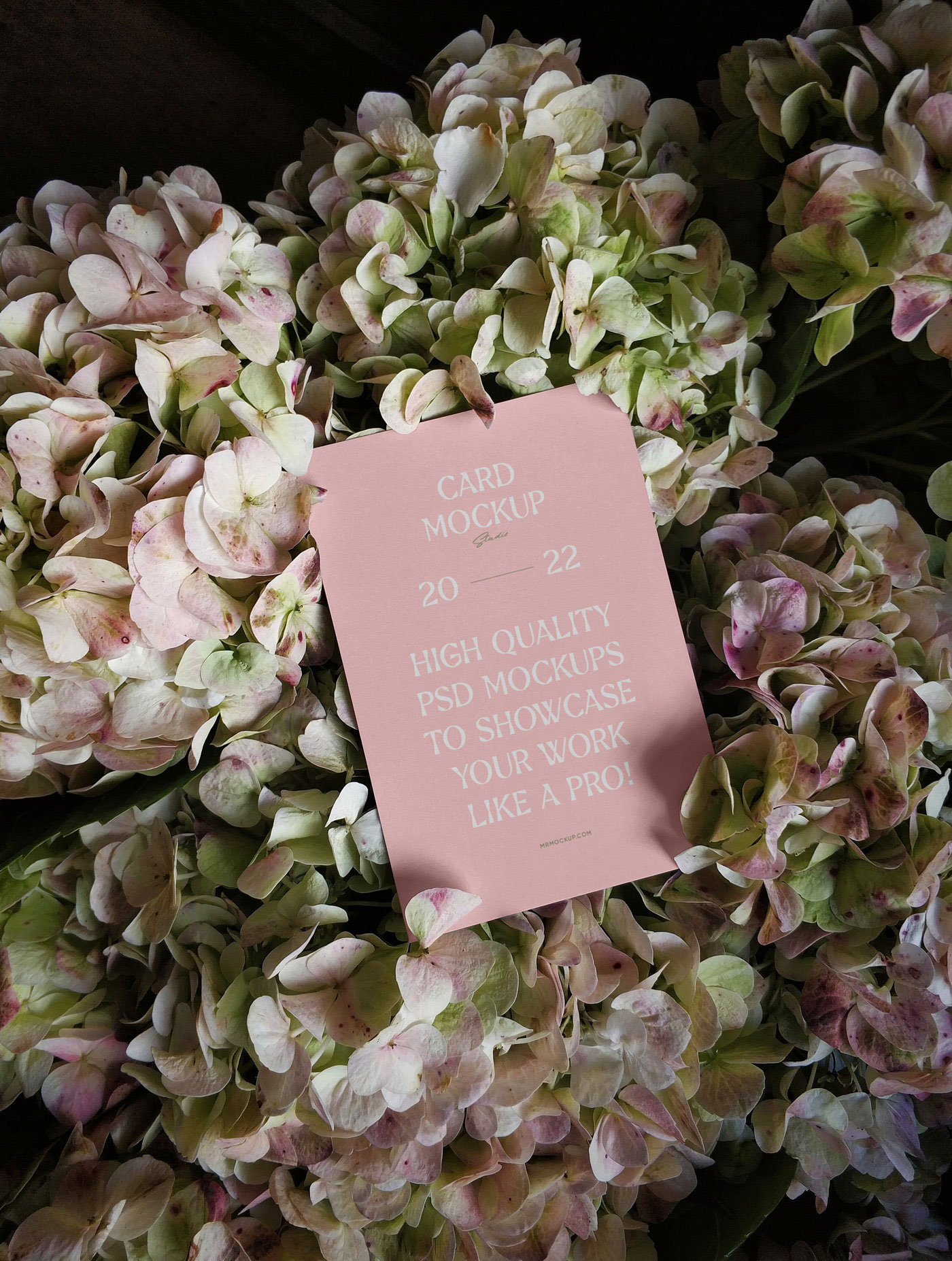 Top View of Card Mockup Among Flowers FREE PSD