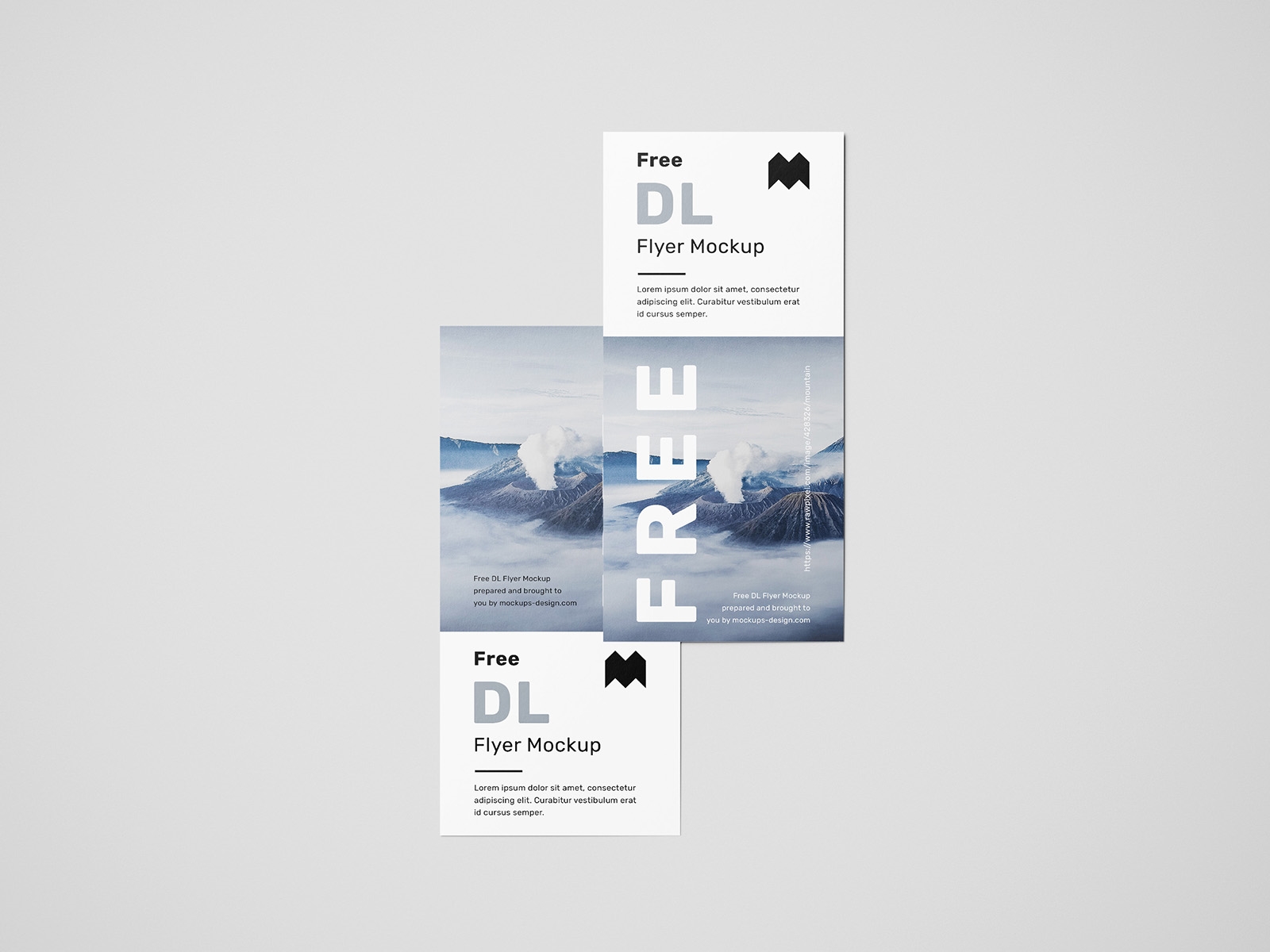 6 Mockups of Vertical Simple DL Flyers from Various Angles FREE PSD