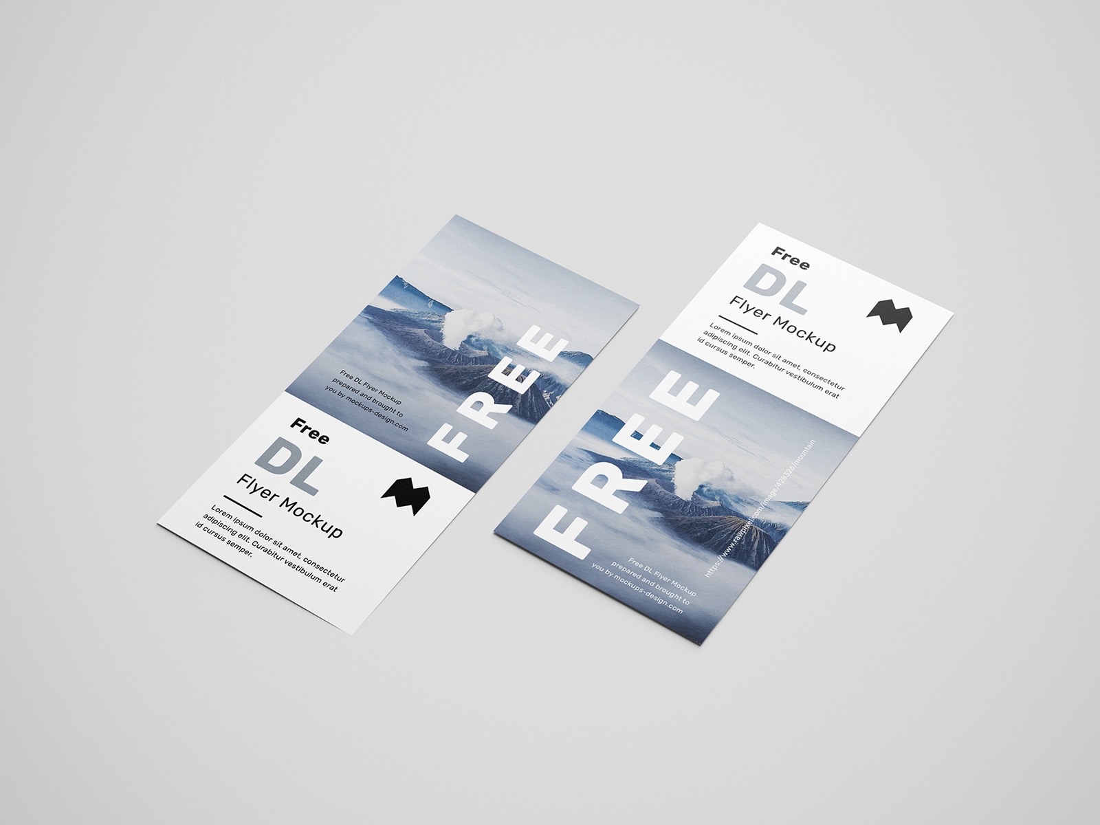 6 Mockups of Vertical Simple DL Flyers from Various Angles (FREE ...