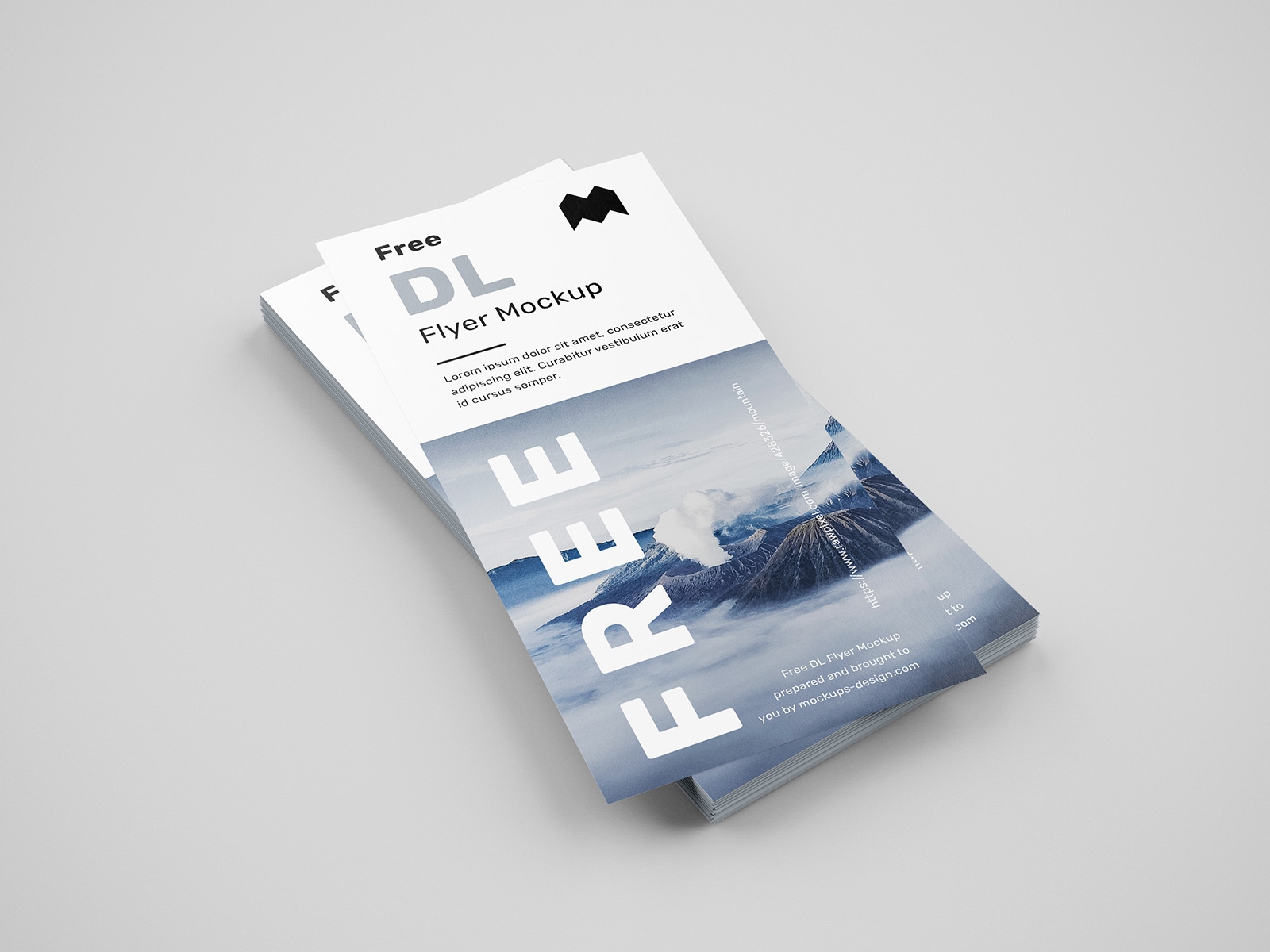 6 Mockups of Vertical Simple DL Flyers from Various Angles FREE PSD