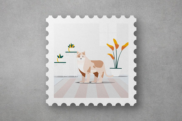 Best choice stamp PSD - PSDstamps
