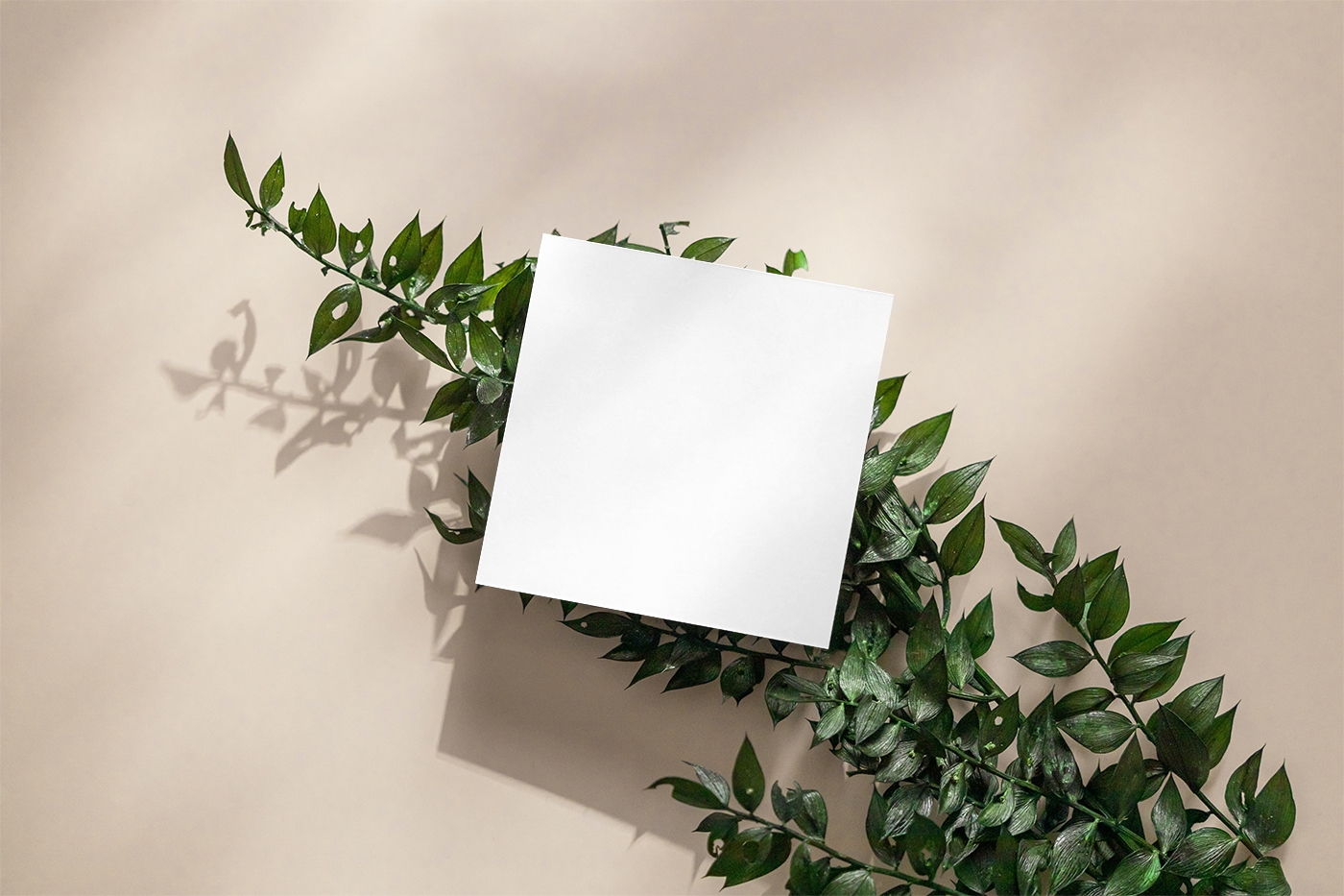 Top View of Mini Square Card Mockup on Plant FREE PSD