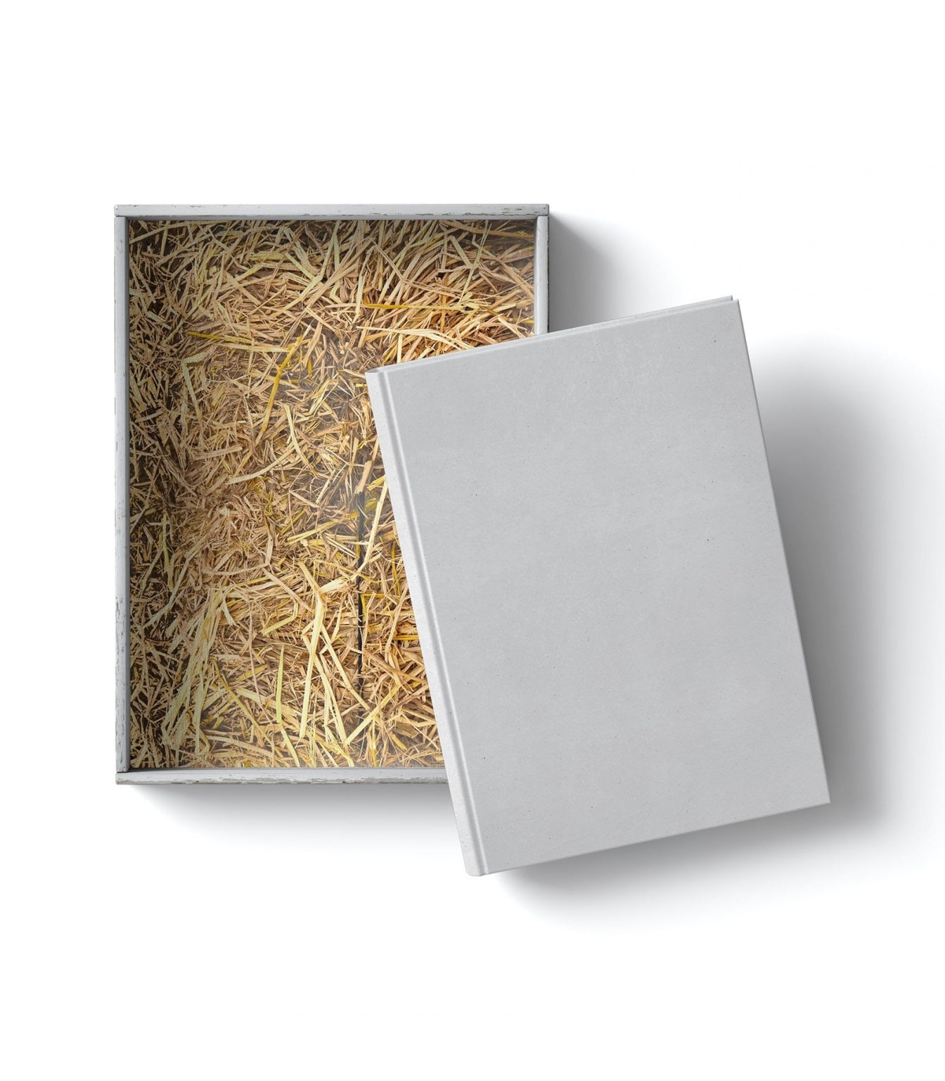 Top View of a Box with Hay and Book Mockup FREE PSD