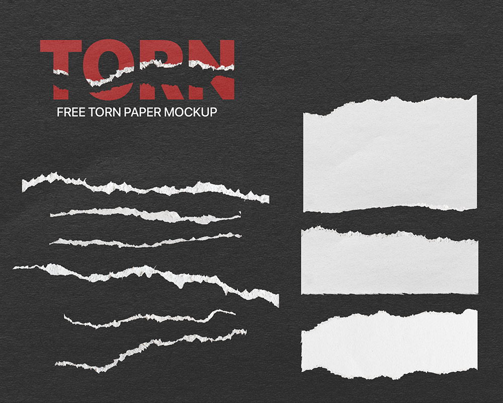 Front View of Torn Papers Mockup FREE PSD