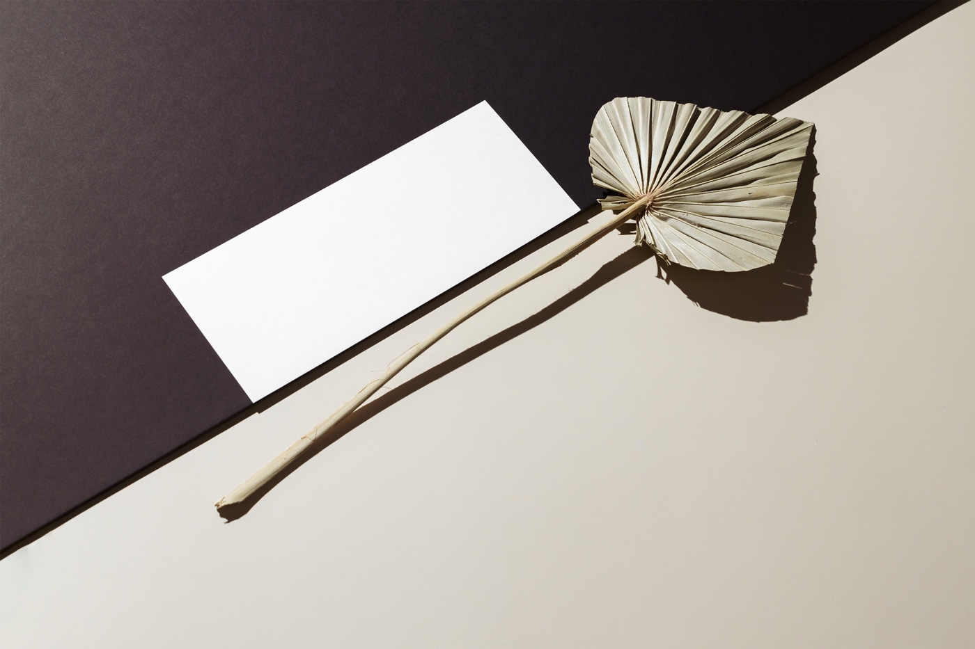 Perspective View of Oblong Paper Card Mockup with Leaf FREE PSD