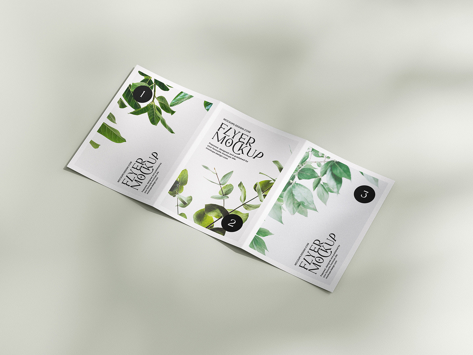 5 Mockups of A5, A6, A4 Trifold Flyers in Various Views FREE PSD