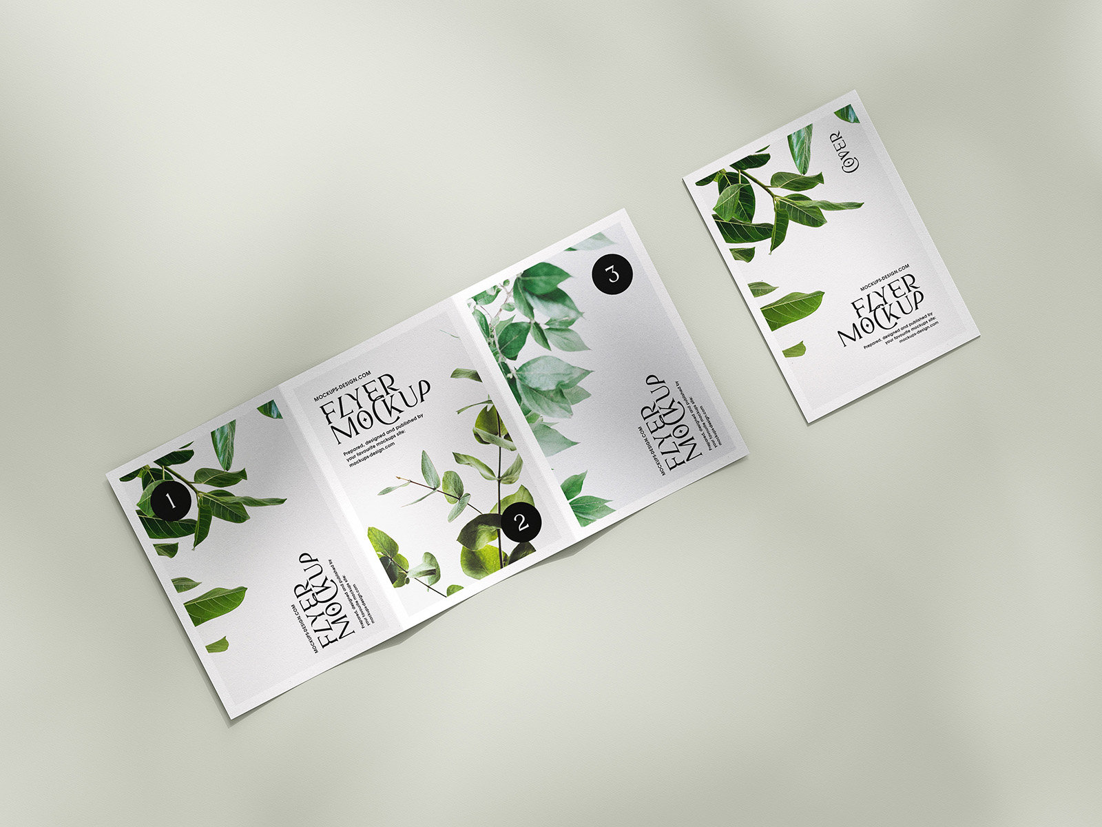 5 Mockups of A5, A6, A4 Trifold Flyers in Various Views FREE PSD