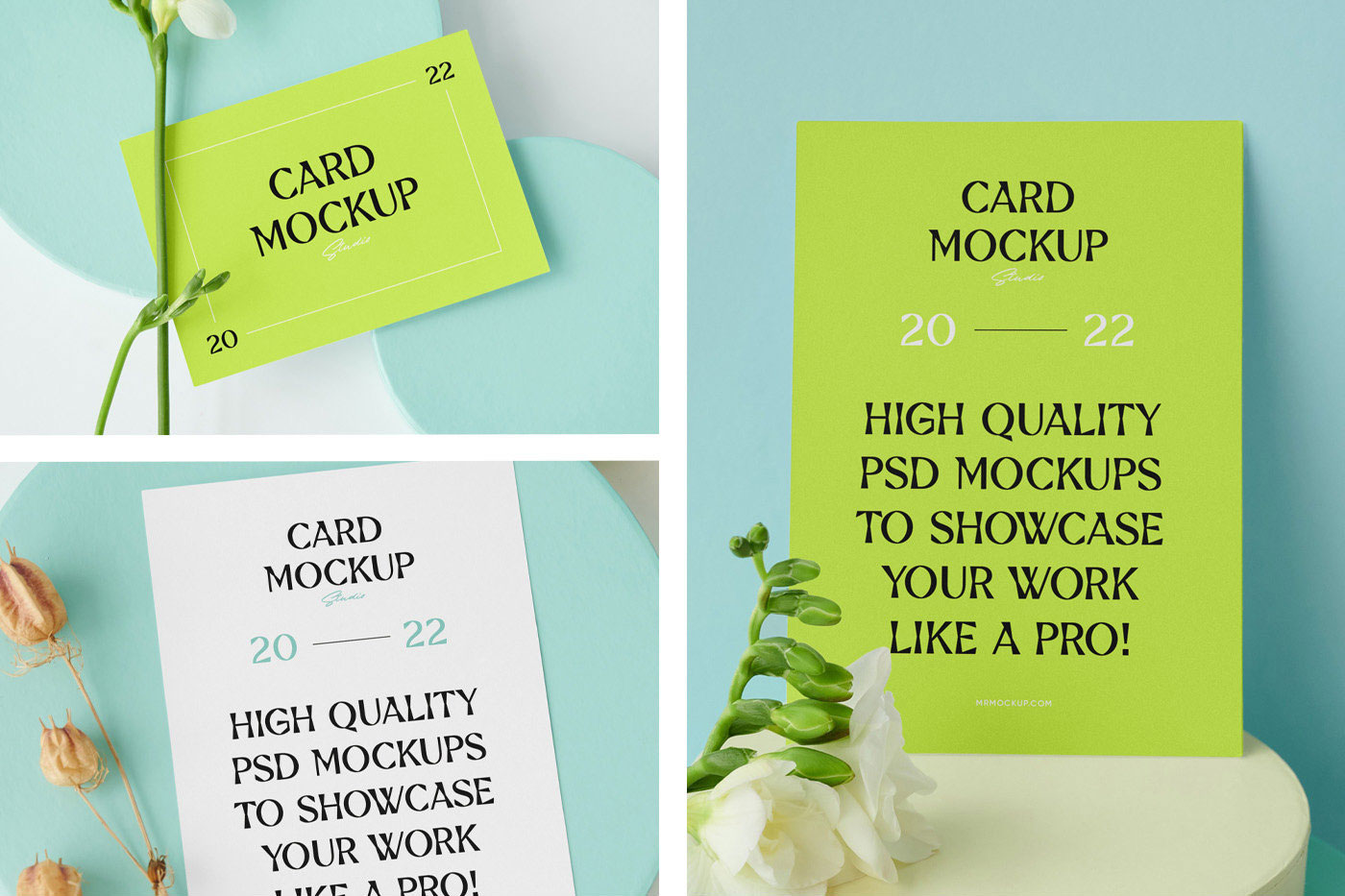 3 Card Mockups with Circle Boxes in Perspective and Front Views FREE PSD