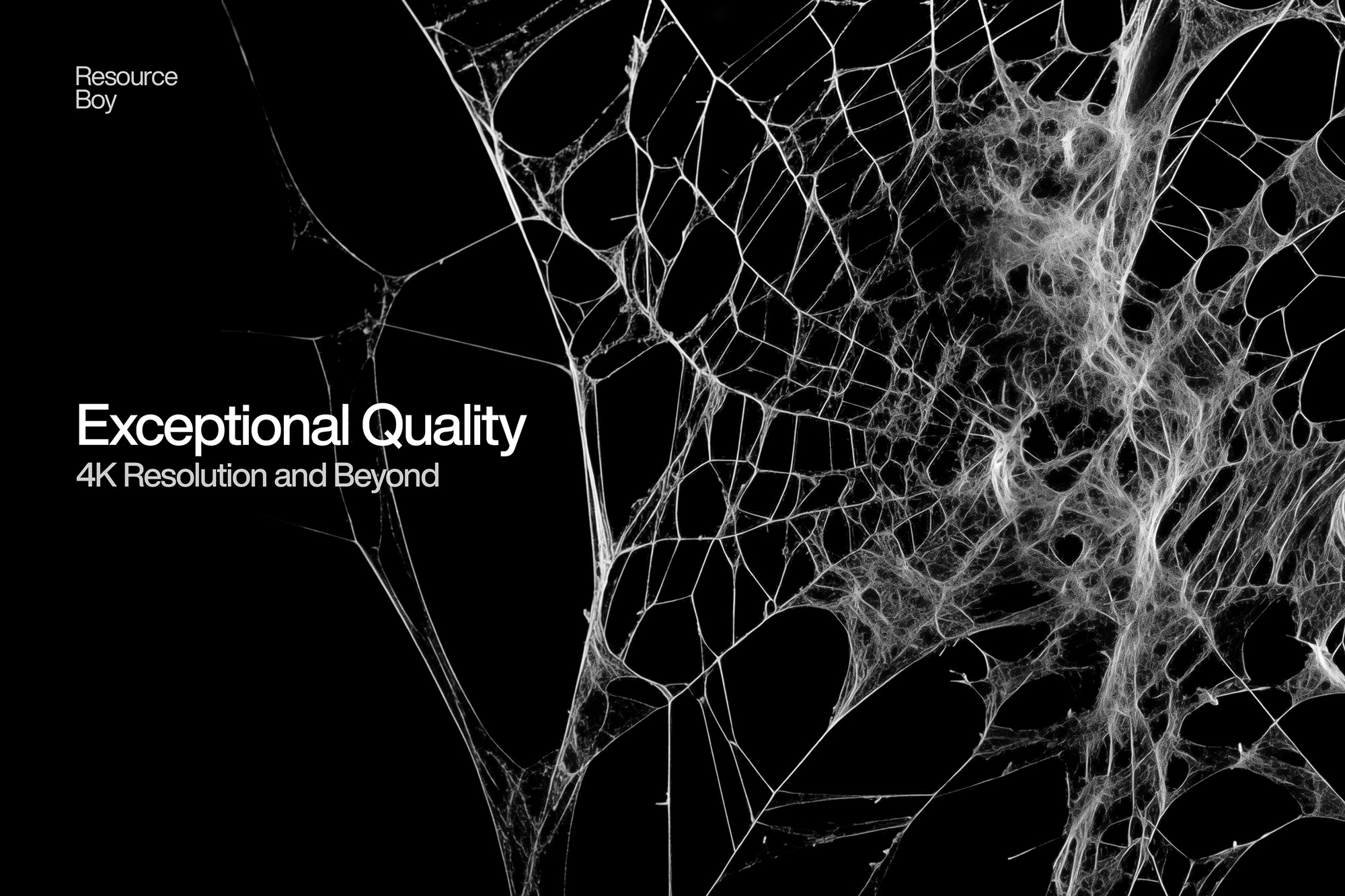 Free Spider Web PNG Textures