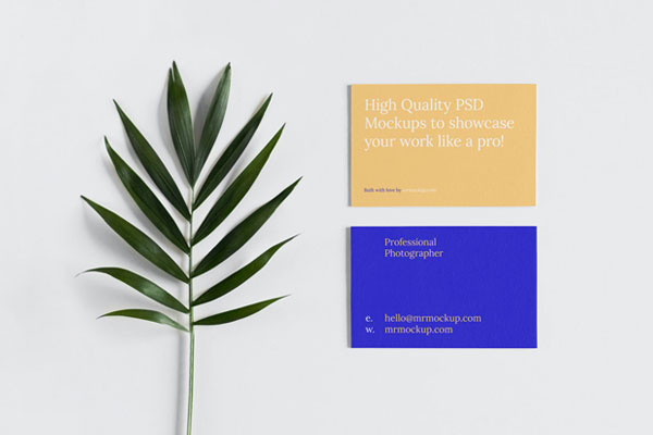 Top Vision of Business Card Mockup with Leaf FREE PSD