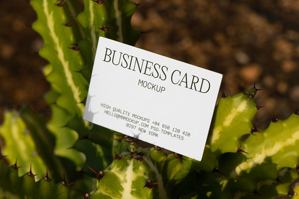 Perspective Sight of Business Card Mockup Among Cactus FREE PSD