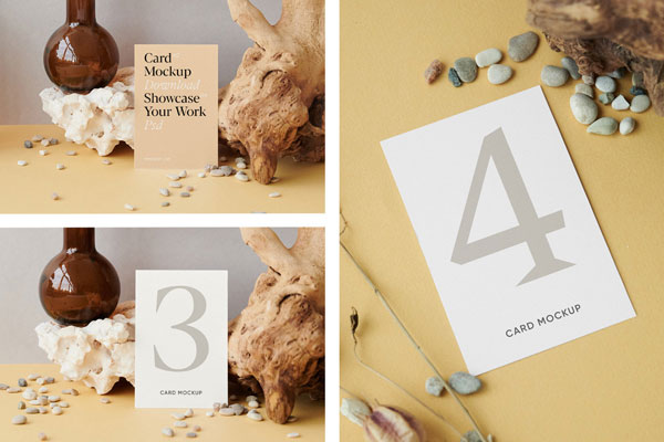 3 Showcase of Card Mockup with Root FREE PSD