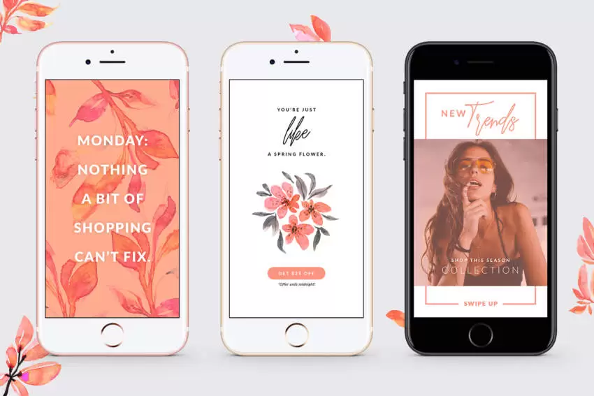 3 Pink Lovely Blush Flyer / Instagram Stories Template (FREE ...