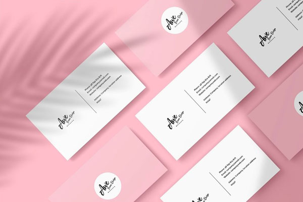 Packs of Rounded Edge Business Card Mockup (FREE) - Resource Boy