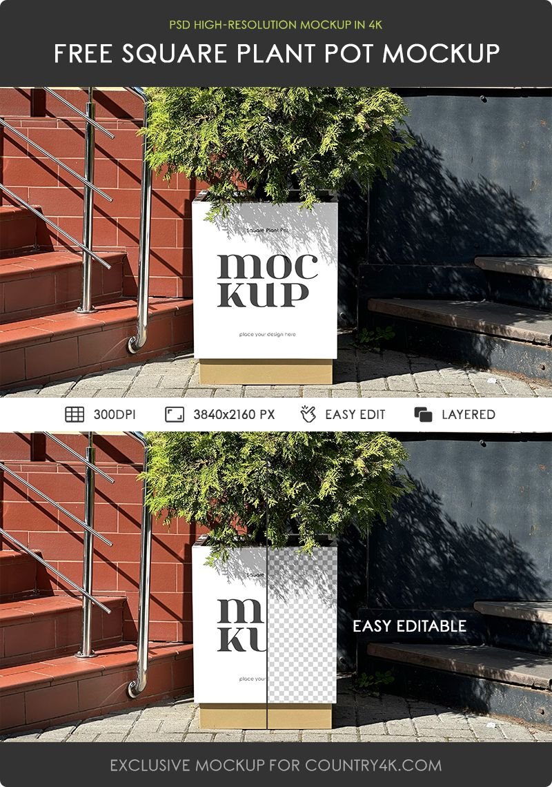 Front Vision of Square Plant Pot Mockup FREE PSD