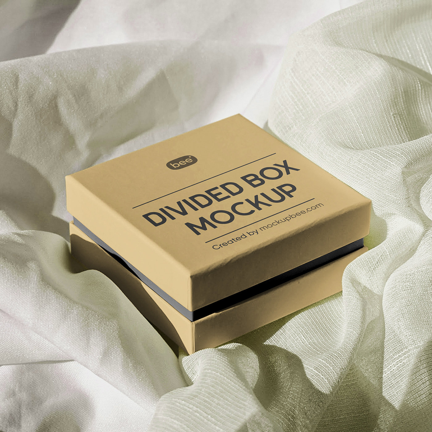 Perspective View of Divided Box Mockup FREE PSD