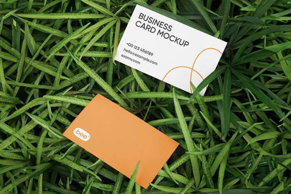 2 Business Cards on Grass Surface Mockup FREE PSD