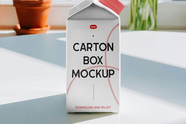 Facing View of Carton Packaging Mockup FREE PSD