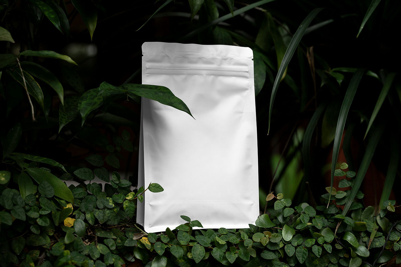 Free Foil Coffee Bag in Plants Mockup PSD Template