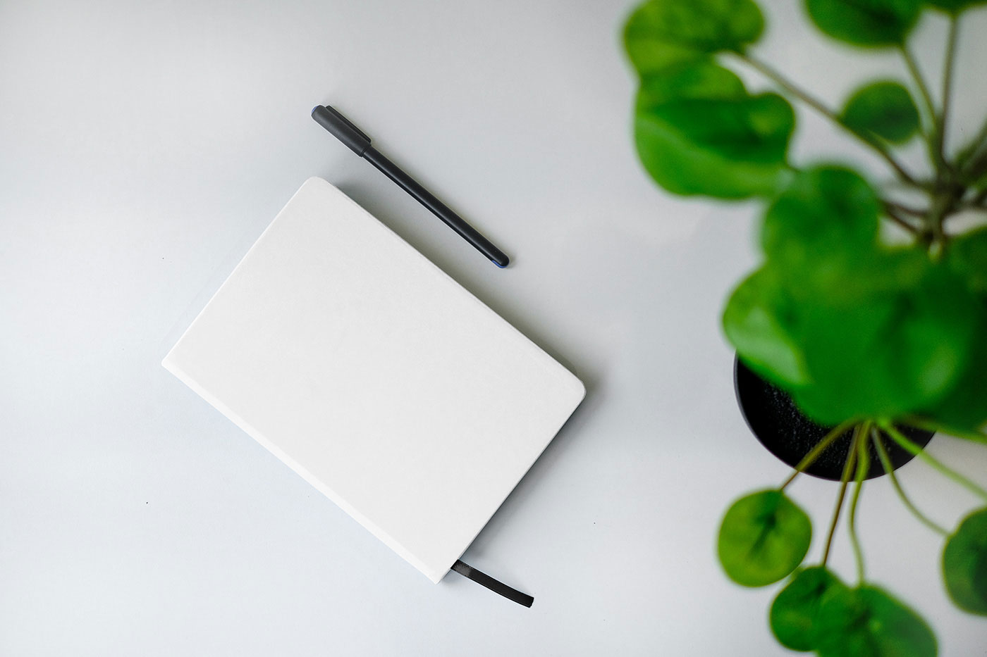 Free Notebook with Plant Mockup PSD Template