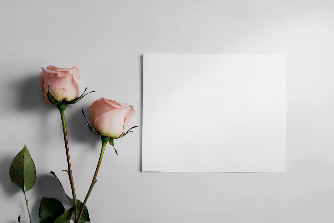 Free Valentines Card Set Mockups PSD Template