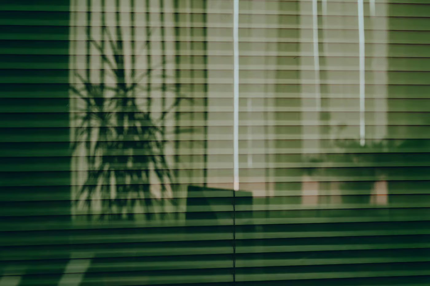 Free Window Storefront with Blinds Mockup PSD Template