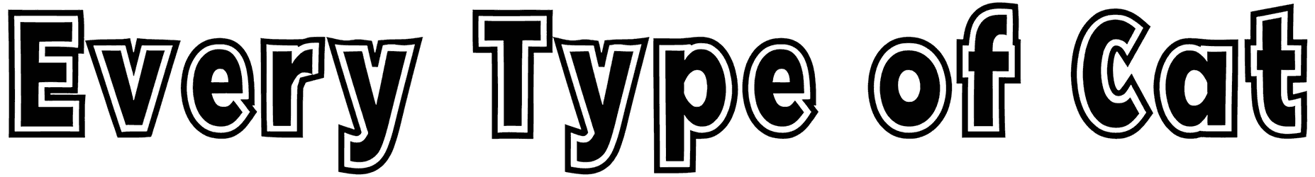 Every Type Of Cat Font