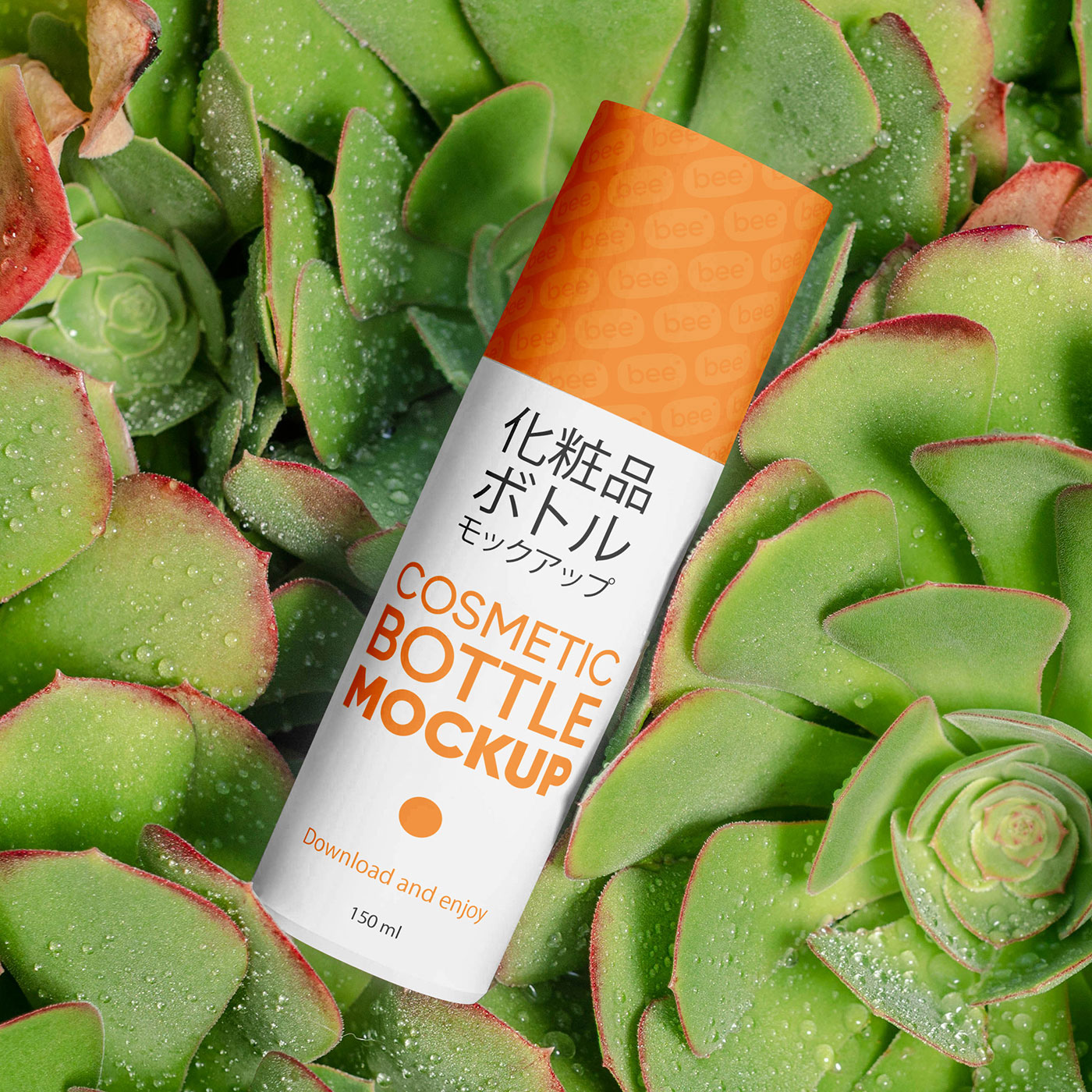 Free Cosmetic Bottle on Plant Mockup PSD Template