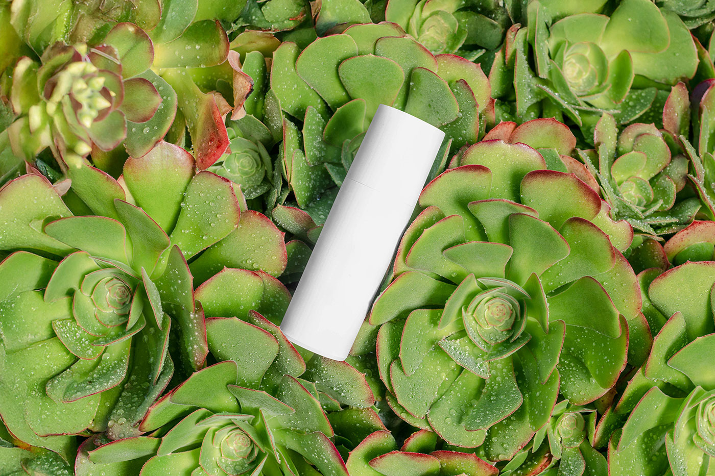 Free Cosmetic Bottle on Plant Mockup PSD Template