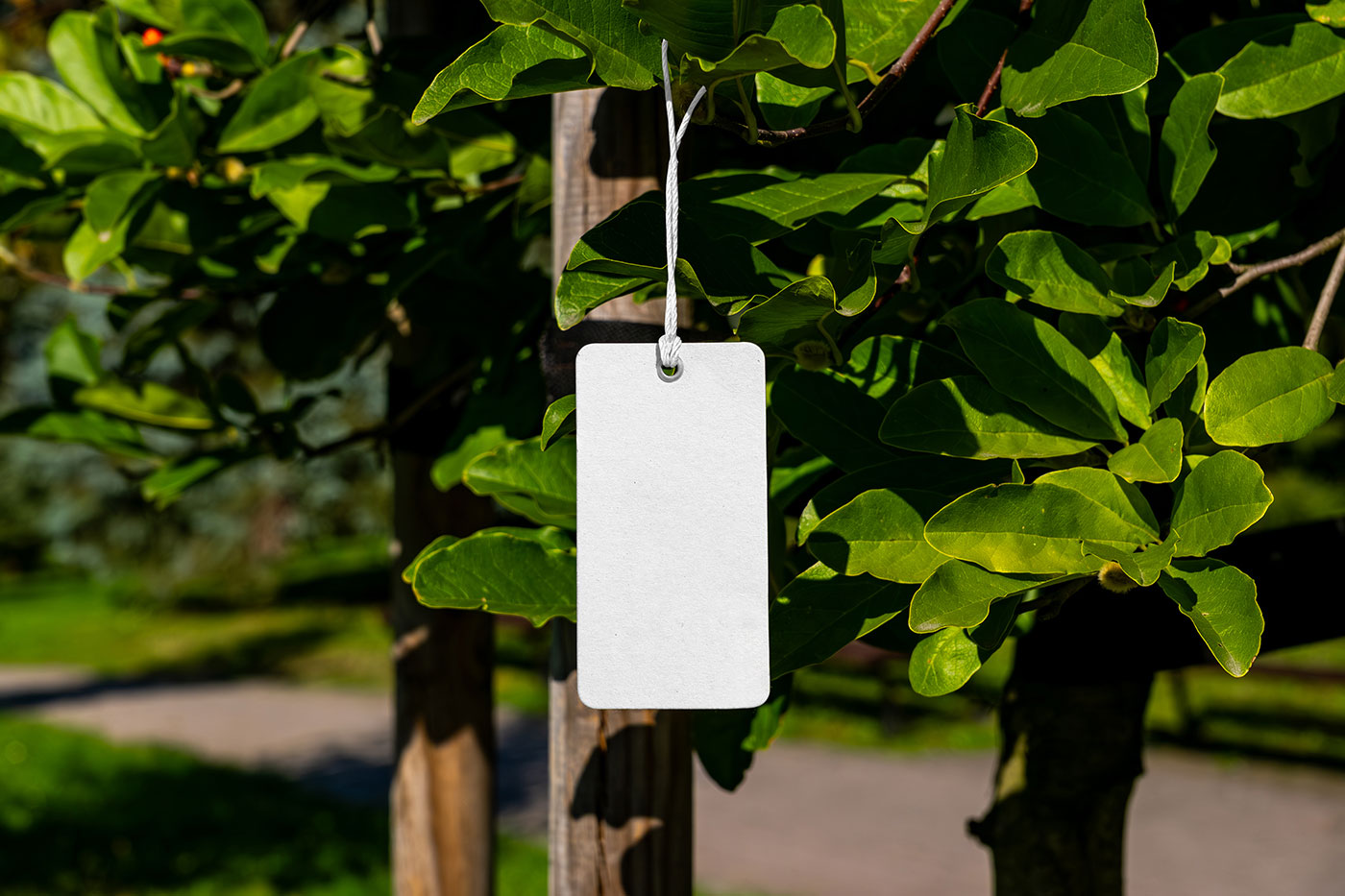 Free Label Hanging on Tree Mockup PSD Template