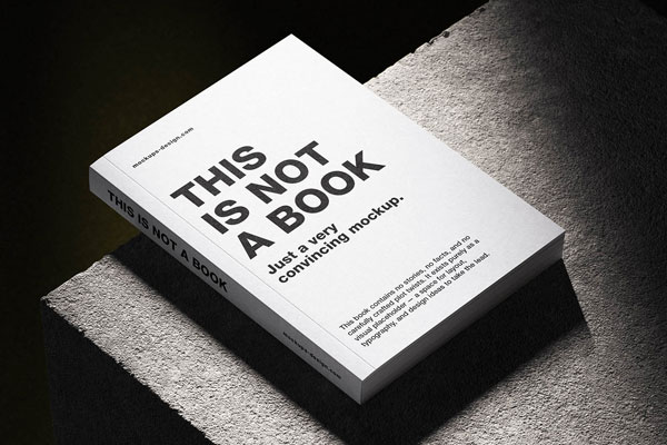 Free Softcover Book on Concrete Mockup PSD Template