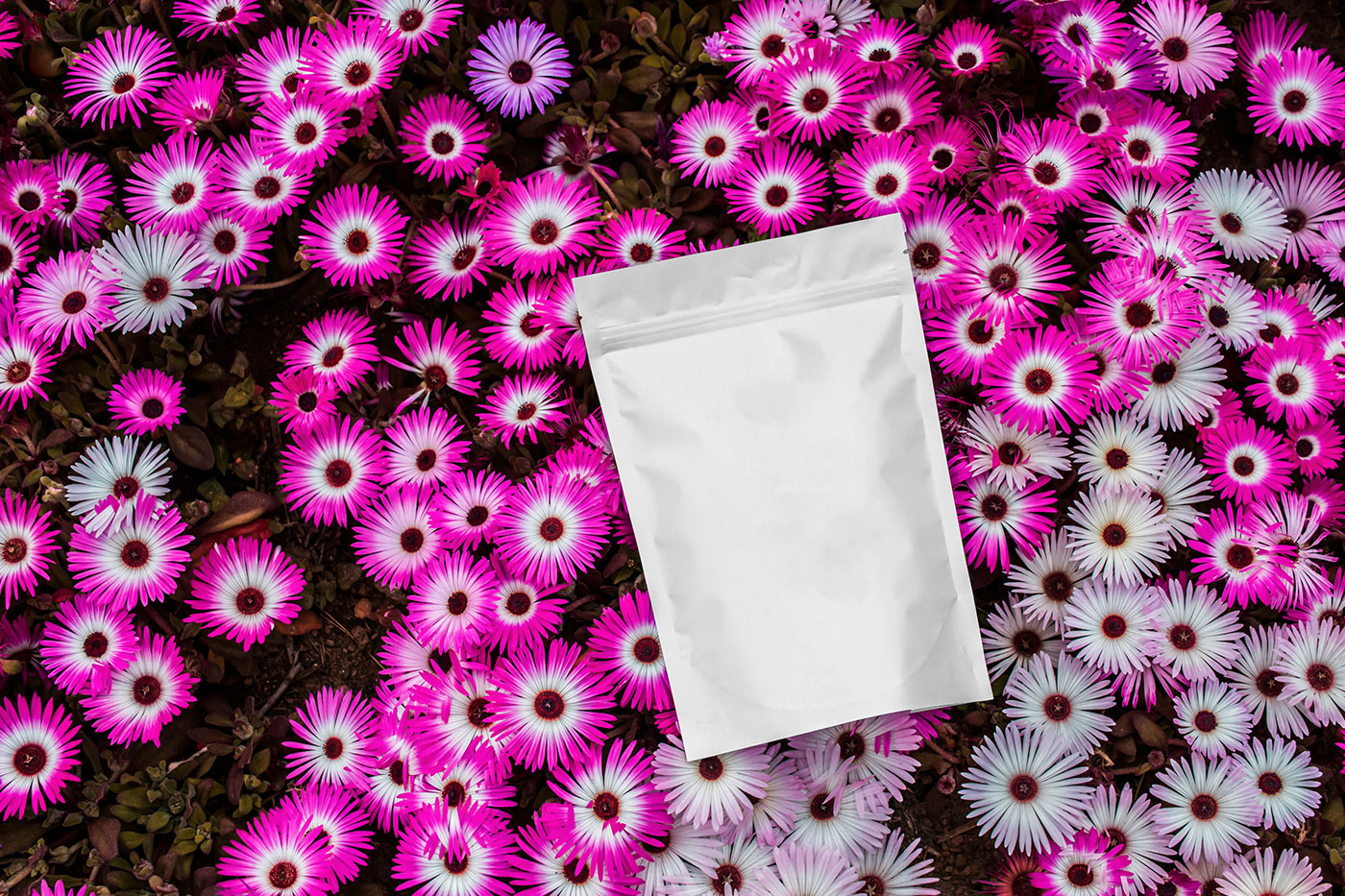 Free Coffee Bag on Flowers Mockup PSD Template