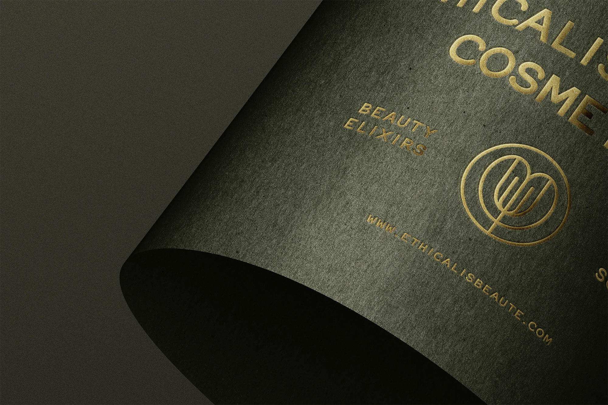 Free Logo on Rolled Paper Mockup PSD Template