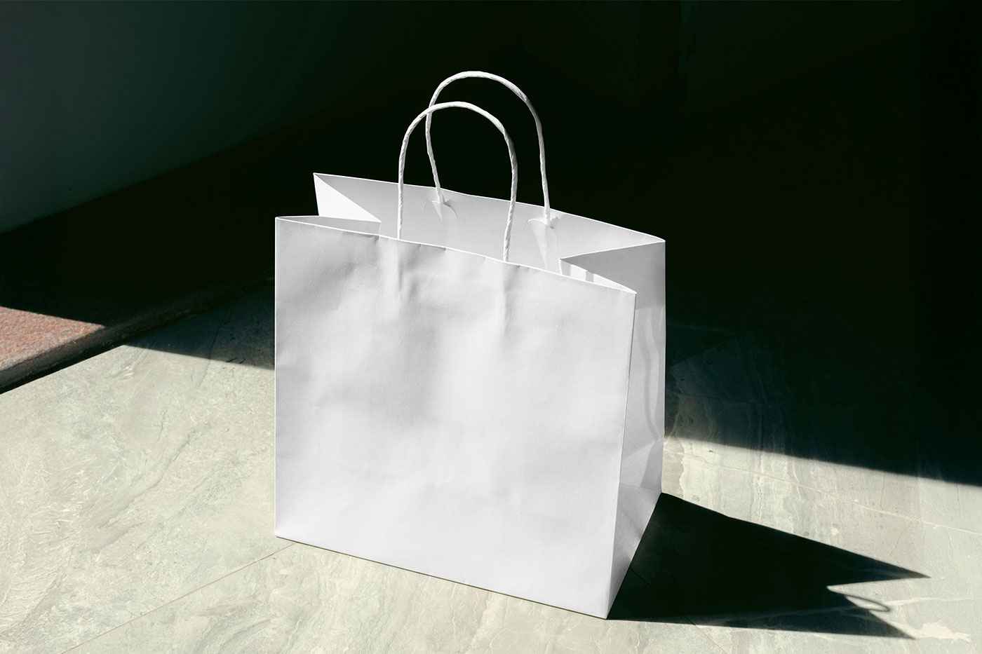 Free Sunny Paper Bag Mockup PSD Template