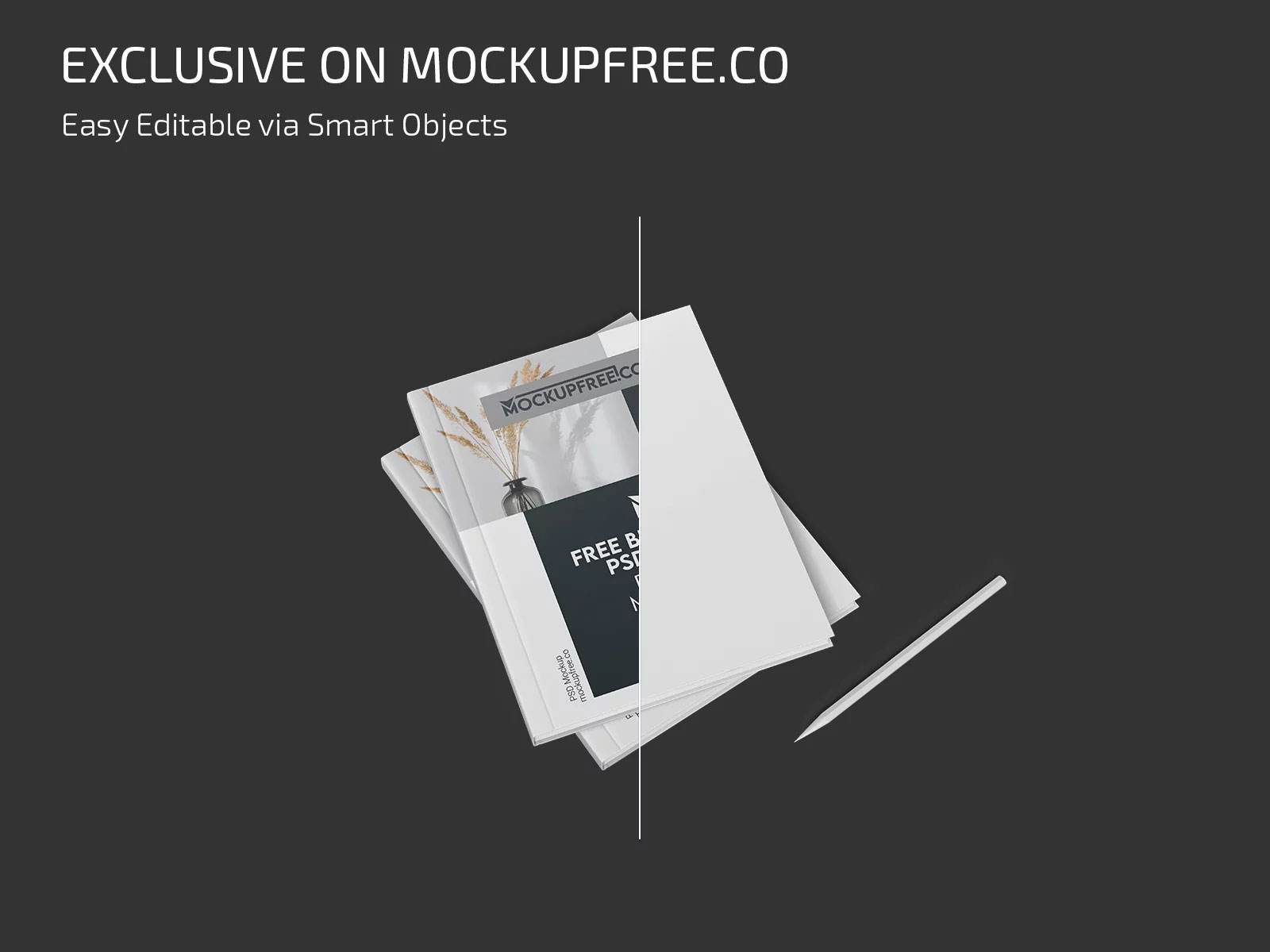Free Branding Book Mockup PSD Template