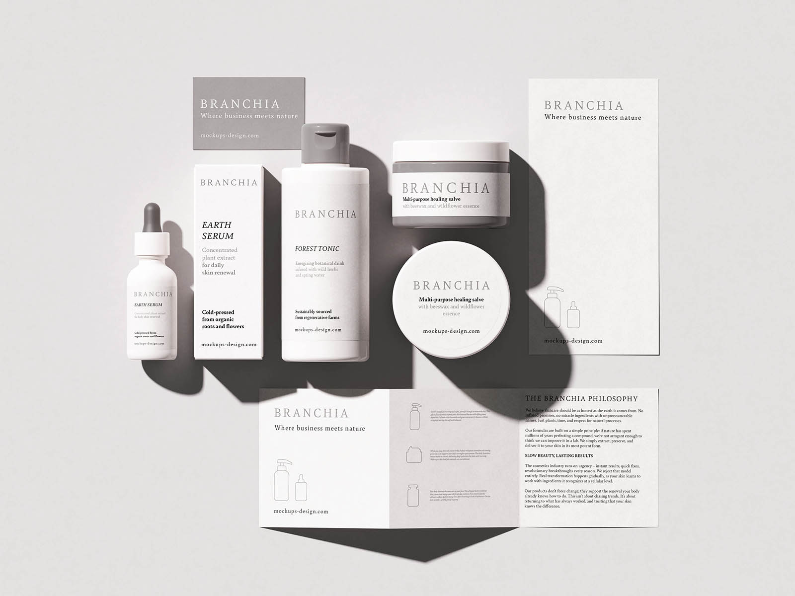 Free Cosmetic Brand Identity Mockup PSD Template